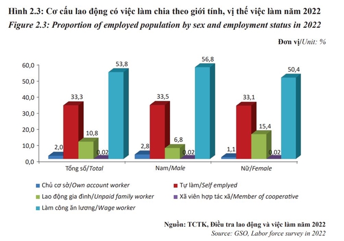 Riêng đối với vị trí lao động gia đình không được trả lương, trả công, là việc làm có mức độ bị tổn thương cao nhất, số lao động nữ có việc làm cao gấp đôi số lao động nam.