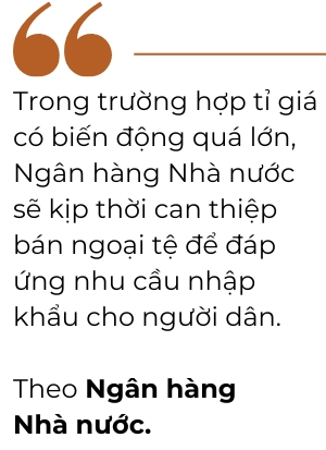 Nếu tỉ giá biến động quá lớn, Ngân hàng Nhà nước sẽ kịp thời can thiệp