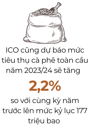 Giá cà phê trong nước bất ngờ giảm mạnh