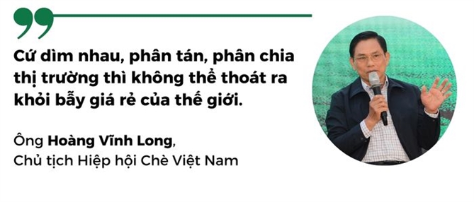 Tìm danh xưng cho trà Việt