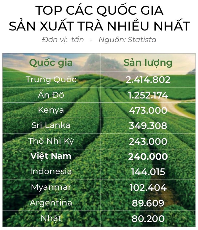 Tìm danh xưng cho trà Việt
