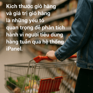 Shopping cart size and value of consumers weekly through the iPanel system