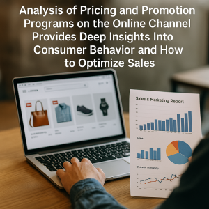 Pricing and Promotions: Analysis on the Online Channel